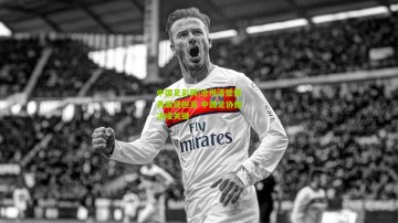 中国足彩网|沧州清偿债务展现担当 中国足协裁决成关键